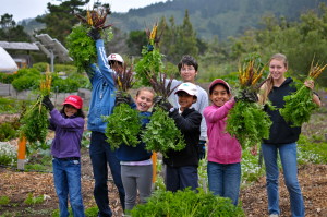 California’s Blueprint for Environmental Literacy: Finding Common Ground to Advance Eco-Literacy for All Students