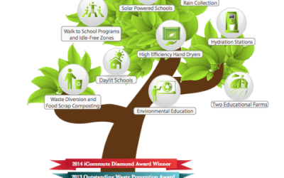 MAKING THE SHIFT FROM GREEN OBSERVERS TO ENVIRONMENTAL STEWARDS