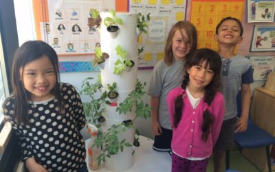Children’s Environmental Literacy Foundation: Preparing Today’s Students for a Complex Future