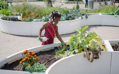 Space to Grow: Making Chicago Schools Healthier, One Schoolyard at a Time