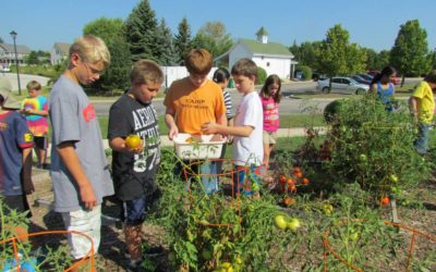 Growing Green Students in the Sustainable Schoolyard