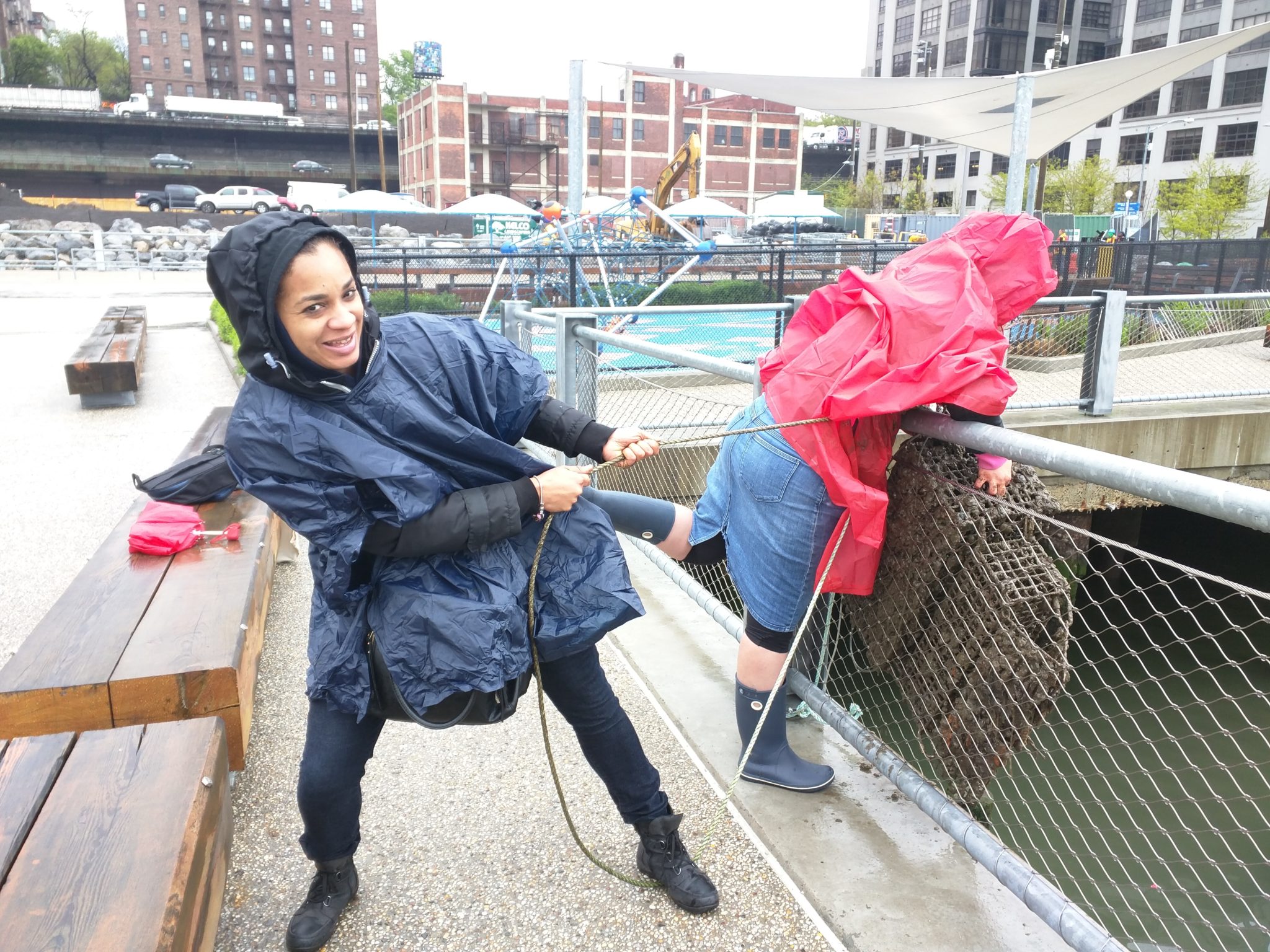 Billion Oyster Project Connects Students And Teachers To Harbor