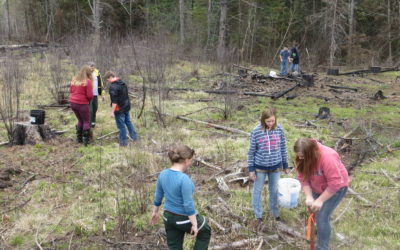 A Walk in the Woods: Wisconsin’s School Forest Program Inspires Outdoor Education and Forest Restoration