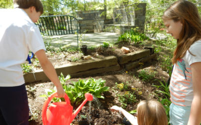 Creating Active Citizens: Caring for Our Watersheds Challenges Youth to Invest in their Local Communities