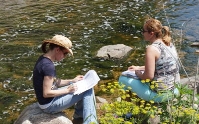 Education through Ecological Restoration: Earth Partnership Engages Youth as Environmental Stewards
