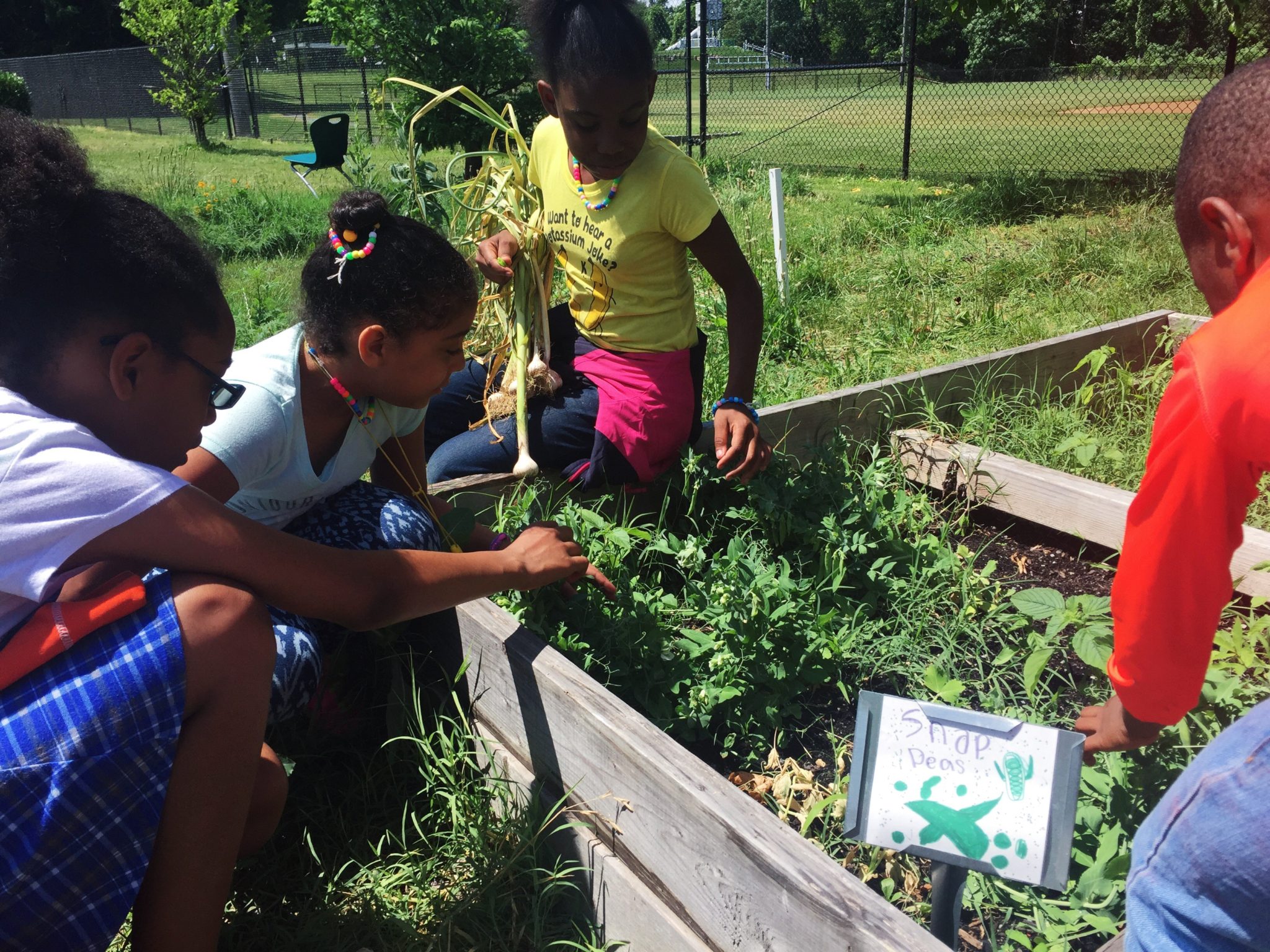 Leckie Elementary School Students Get Hip to Urban Agriculture Green