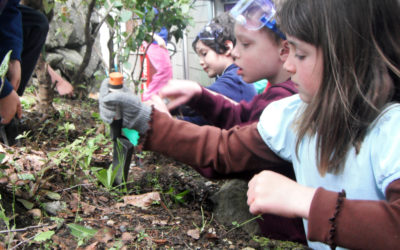 Debunking Common Myths Behind U.S. Department of Education Green Ribbon Schools