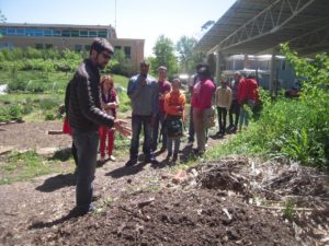 learning to compost