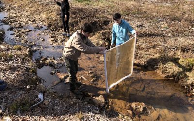 Water, Water, Everywhere – A Look into Students’ Study of Water Quality