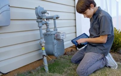 The Intersection of Technology and Sustainability: Using Learning Lab to Support 21st Century Skill-Building