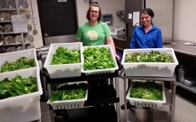 The Menasha Model: Innovative Hydroponics and One Million Meals