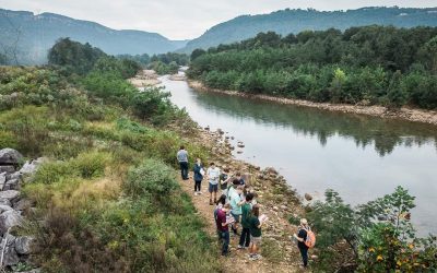 Field Experiences Spark Stewardship and Citizen Science Engagement at Ivy Academy