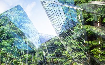 Green Building: Tools for the Future