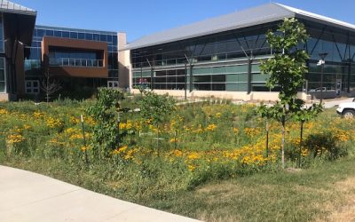 A Hybrid Green Building Inspires Student Learning