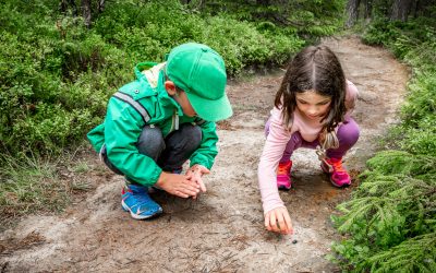 Fun and Educational Outdoor Learning Experiences for Students and Their Families