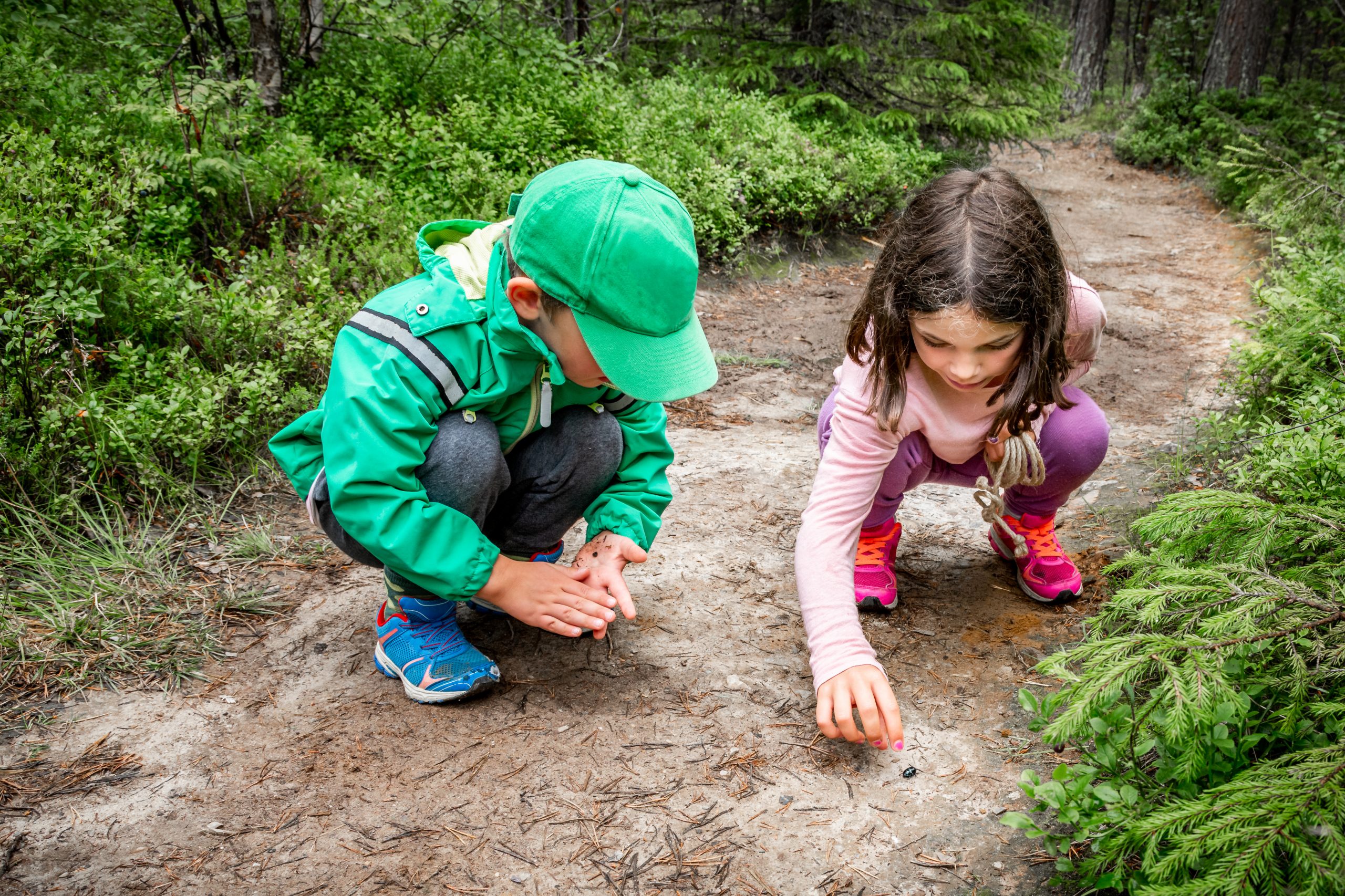 Look the child will fall. Дети исследуют лес. Мальчик изучает лес. Дети исследуют лес вместе. Фото, где дети исследуют почву.