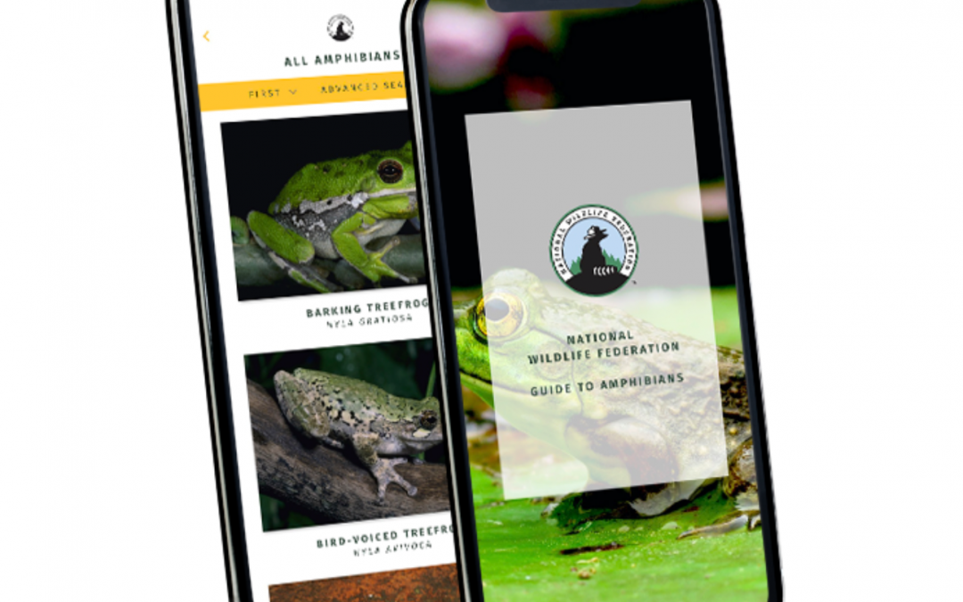 National Wildlife Federation Nature Guide Apps