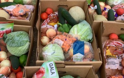 Tackling Food Waste and Food Insecurity During a Pandemic: A Student-Led Approach to a Community Food Crisis