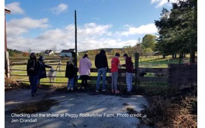 Cooking Up a Passion for Local Food: Farm to Table Class Introduces Students to Maine’s Agricultural Bounty