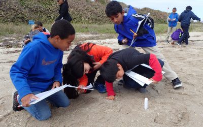 Environmental Education Comes to Life at John D. MacArthur Beach State Park