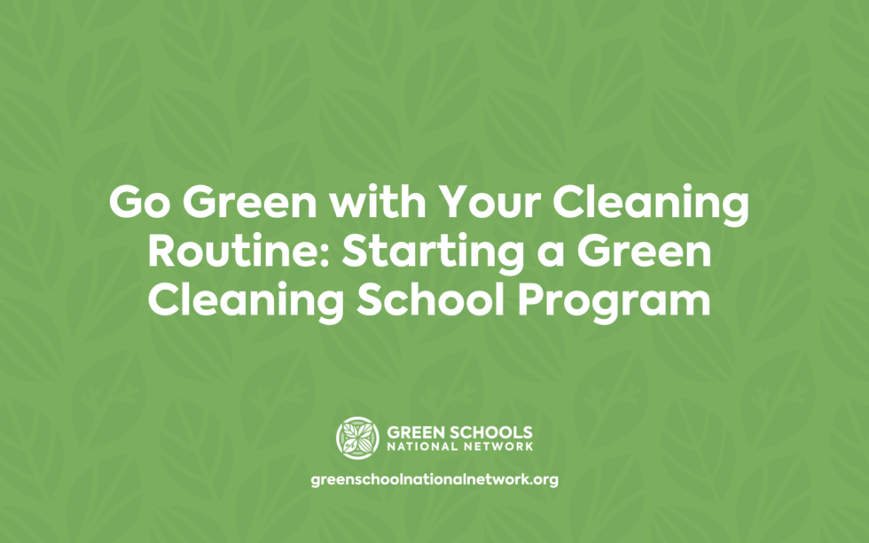 go-green-with-your-cleaning-routine-starting-a-green-cleaning-school