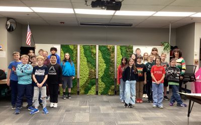 Growing Calm: How a Green Team Moss Mural Transformed a School Cafeteria